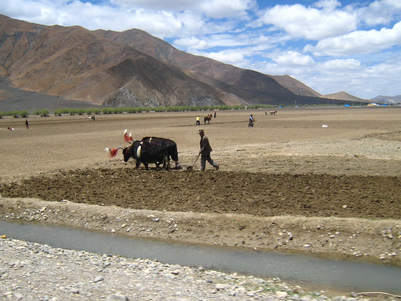036-Tibet2007
