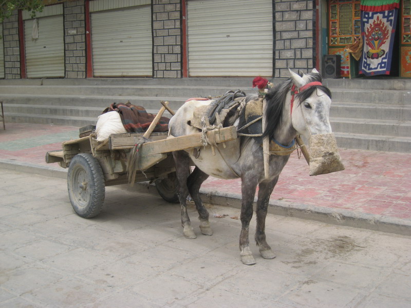 037-Tibet2007