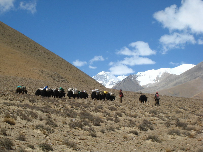 065-Tibet2007