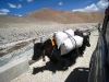 066-Tibet2007