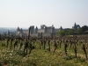 11-Carcassonne_vignes