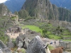 082_machu_pichu_lama